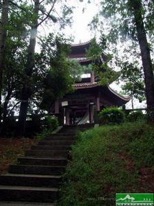 通泰街道 通泰街道