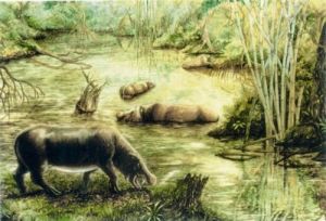 石炭獸科 石炭獸科