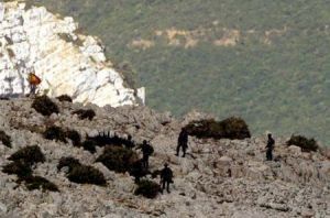 佩雷希爾島 佩雷希爾島