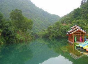 大王嶺原始森林 大王嶺原始森林