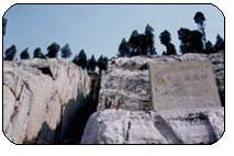 九龍山崖墓群 九龍山崖墓群