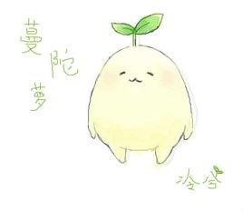 拔拔蔓陀蘿 拔拔蔓陀蘿