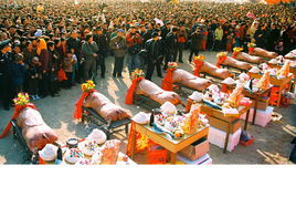 周戈莊上網節 周戈莊上網節