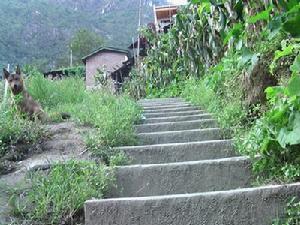 俄嘎村進村道路