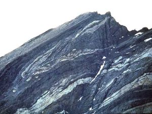 全形褶皺 全形褶皺