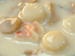 鮮奶干貝 鮮奶干貝