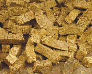 《秸稈飼料玉米》 《秸稈飼料玉米》