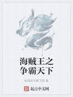 海賊王之爭霸天下 海賊王之爭霸天下