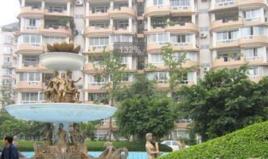 盛世草堂 盛世草堂