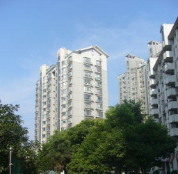 金樂華庭 金樂華庭