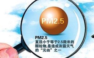 PM2.5