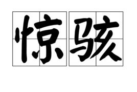 驚駭[漢語辭彙]