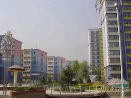 金裕青青家園 金裕青青家園