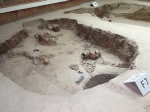 大坌坑文化遺址 大坌坑文化遺址