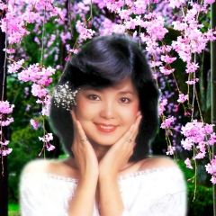 有了春天不知道 有了春天不知道