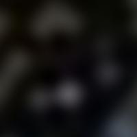 HR 1080 RASS 彩色圖