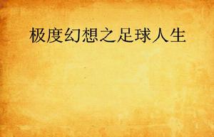 極度幻想之足球人生 極度幻想之足球人生