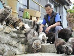 田代島貓比人多