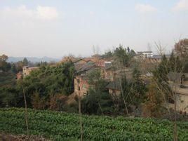 糯米科村 糯米科村