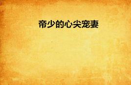 帝少的心尖寵妻 帝少的心尖寵妻