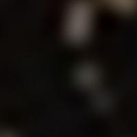 HR 6721 RASS 彩色圖