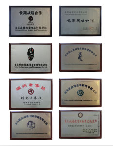 壺山林氏 壺山林氏