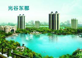 光谷東郡 光谷東郡