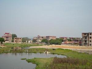金山村[福建省泉州市南安市霞美鎮金山村]