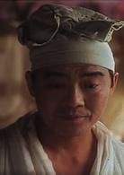 暗戀桃花源[1992年林青霞主演電影]