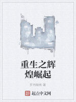 重生之輝煌崛起 重生之輝煌崛起