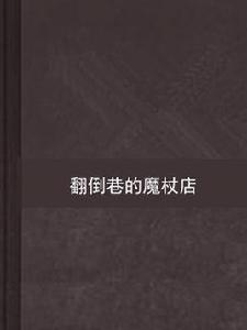 翻倒巷的魔杖店