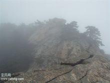 龜峰[湖北省麻城市龜峰]