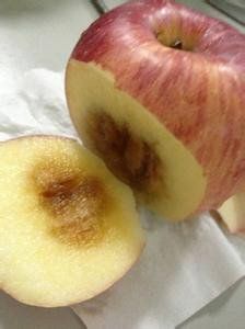 金玉其外,敗絮其中 金玉其外,敗絮其中