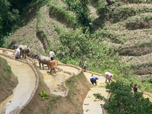南陡河自然村 南陡河自然村