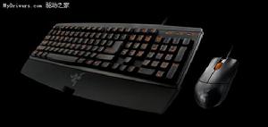 Razer橘倉金蛛 Razer橘倉金蛛