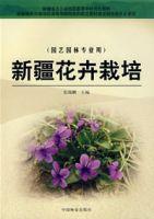 新疆花卉栽培 新疆花卉栽培