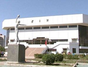 湖北大學圖書館