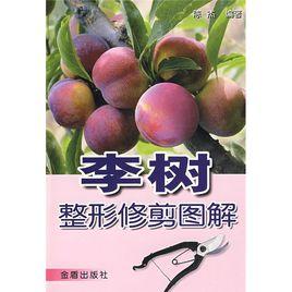 李樹:整形修剪圖解 李樹:整形修剪圖解