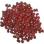 赤小豆花 赤小豆花