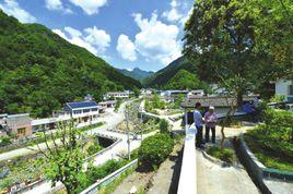 花果村[廣東惠陽區新圩鎮下轄村]