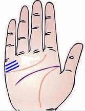 有2條以上婚姻線