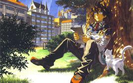 雷弗·阿爾薩伊夫 雷弗·阿爾薩伊夫