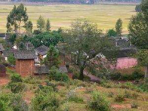 上一隊村 上一隊村