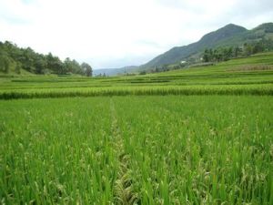 椅子山村 椅子山村