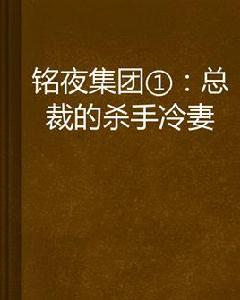 銘夜集團1.總裁的殺手冷妻 銘夜集團1.總裁的殺手冷妻