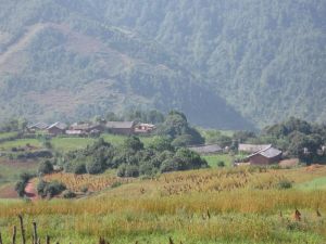 棉保地村 棉保地村