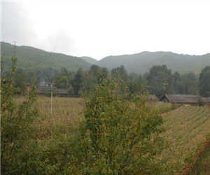 凹塘頭村 凹塘頭村