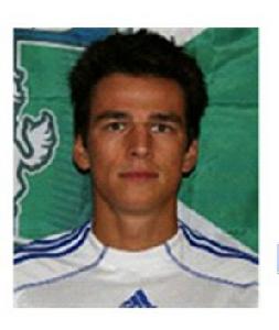 戈利亞特金 戈利亞特金