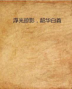 浮光掠影,韶華白首 浮光掠影,韶華白首