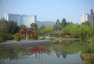 處州公園 處州公園